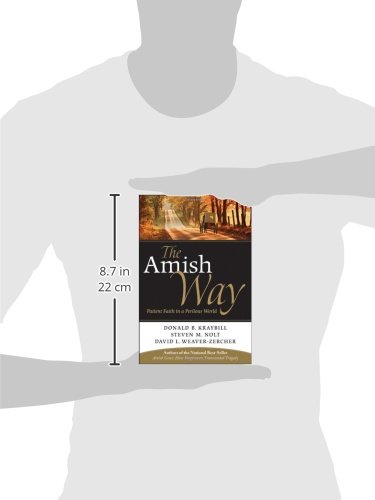 The Amish Way P: Patient Faith in a Perilous World