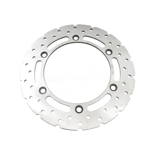 Disques de frein moto assurant un freinage stable pour Xciting CT250 300