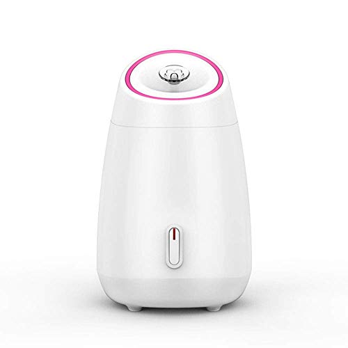Compteur d'eau visage avec pulvérisation à chaud et hydratant nano pour homme et femme