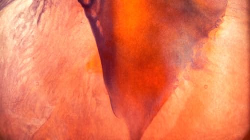 Beyond Penetration Podcast Por  arte de portada