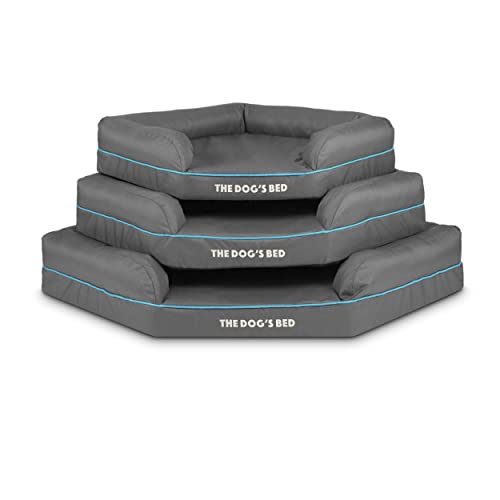 The Dog's Bed Orthopädisches Hundebett mit Memory-Schaum, Wasserdicht, Groß, Grau und Blau, lindert Arthritis und Hüftdysplasie, Therapeutisch und Unterstützend, Waschbar, Tierärztlich Geprüft
