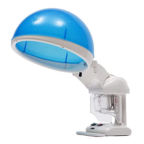 MEHOOSPVN 2 in 1 Hair Steamer Hair Care Machine Facial Sauna Salon Spa Face Steamer Hair and Facial Steamer, Hot Mist Moisturizing Tabletop Portable Household Automatic Power-Off for Personal Beauty