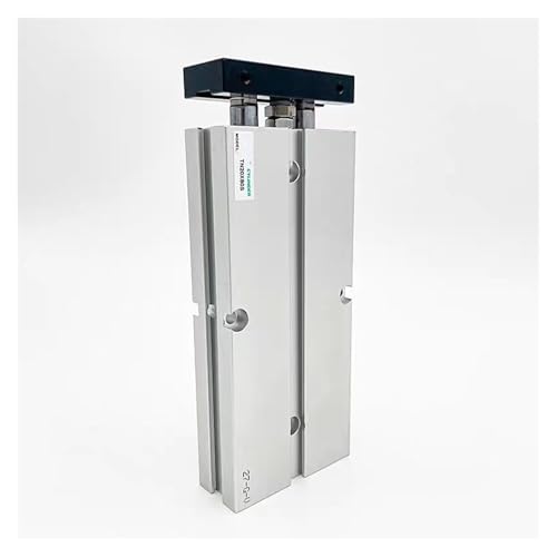 Cylindre double TN10X100S vérin guidé alignement parfait