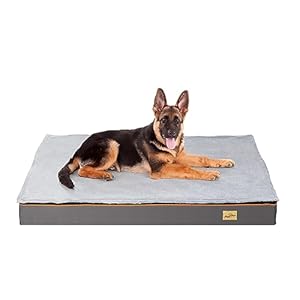 BingoPaw Cama Perro Grande XXL Cama para Perros Grandes Desenfundable,120x90cm Colchonetas para Perros Grandes Lavables Colchon Perro Viscoelastico Impermeable con Funda Suave y Espuma Ortopedica