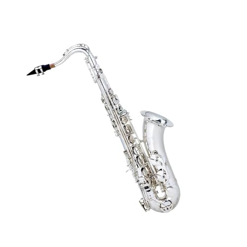 ソプラノ サックス」の人気商品一覧 | 安い商品を通販サイトから