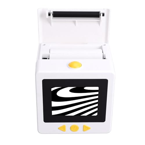 Image of Diyeeni Smart AI Sticker Printer, Voice Controlled Portable Thermal Inkless Maker with 2.4 Inch Screen, for DIY Crafts (White)