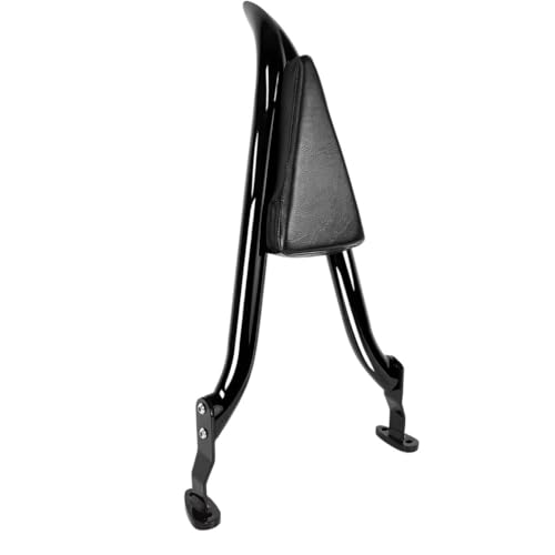 Accessoires de moto dossier arrière passager Road Glide 3 FLTRT et Freewheeler FLRT