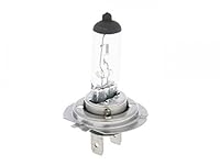 Glühlampe Halogen H7 PX26d 12V 55W