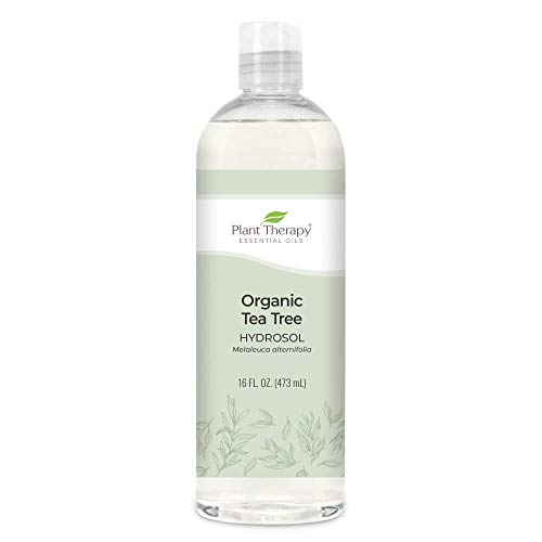 Plant Therapy Tea Tree (Melaleuca) Organic Hydrosol 16 oz by-Product of Essential Oils