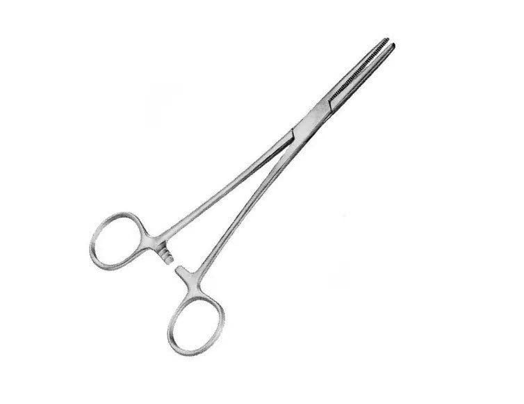 Forgesy Artery Forceps Straight (Pack Of 1) 7 Inch (B0BJF3GKXG) Amazon Price History, Amazon Price Tracker