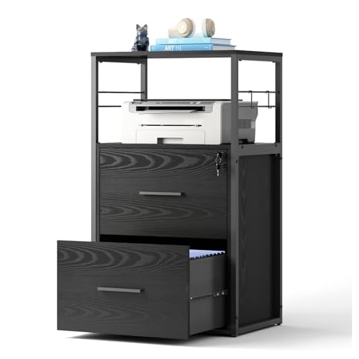 DEVAISE 2 Drawer Lateral File Cabinet with Lock, Filing Cabinet fits Letter/Legal/A4 Size, Large Printer Stand with Storage Shelves for Home Office, Black