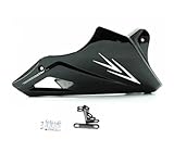 Fonction : le carénage du châssis de moto protégera la partie inférieure du moteur en cas de chute