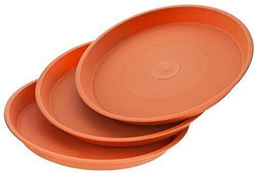 Image of SIGNY Round Bottom Tray(Plate /Saucer) Suitable for 6 Inch Round Plastic Pot - Brown - Set of 3 | Heavy Duty Highly Durable Plant Saucer for Indoor Home Decor & Outdoor Balcony Garden (3, 4.5 Brown)