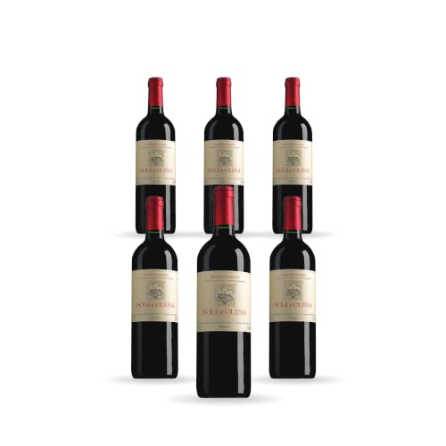 Isole e Olena Chianti Classico Rotwein 2023 6 x 0,75 l | Rotwein aus Chianti...