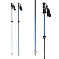 Amazon | シナノ ストック 2026 SINANO FREE FAST α RD フリー