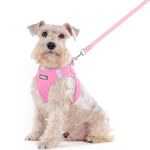 Image of rabbitgoo Dog Harness Medium Sized and Leash Set, Step-in Puppy Pet Vest