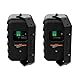 Audibax Delta 32 BT Black Bluetooth-Lautsprecher, Hochleistungs-Aktiv-Lautsprecher für die Wand, Bluetooth-kompatibel, hoher Frequenzbereich (100 Hz - 20 kHz), Surround-Sound