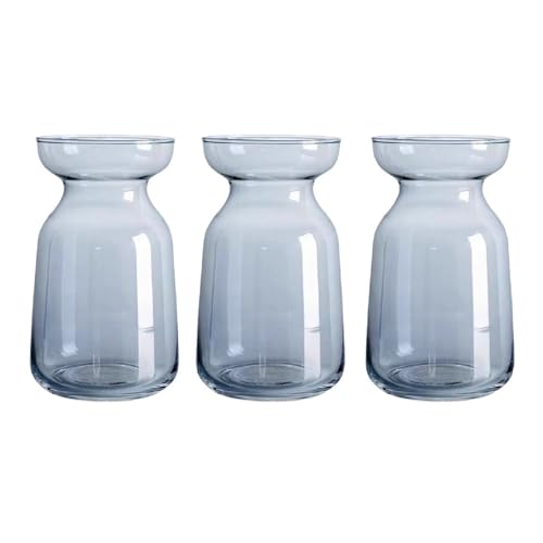 Bafnsiji 花のための小さなガラスの花瓶、花瓶ガラス、小さなガラスの花瓶セットつぼみの花瓶、ヒヤシンスの球根アボカドの成長のための透明な小さな花瓶、テーブルデコレーションセンターピース用