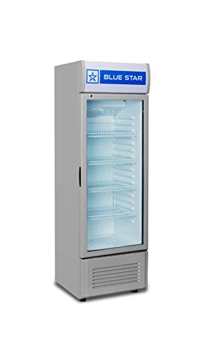 Image of Blue Star VC250D Vertical Glass Single Door Automatic Visi Cooler (220L, white)
