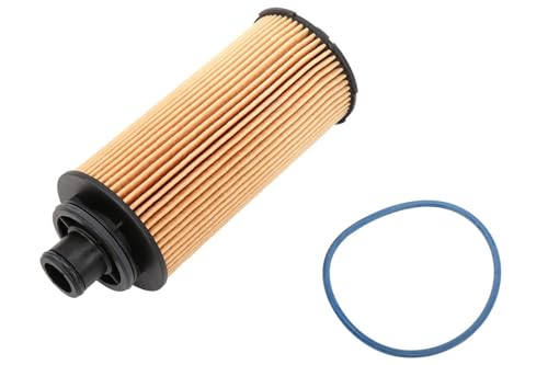 ACDelco GM Original Equipment PF2262G (12679114) Engine Oil Filter and Cap Seal (O-Ring)