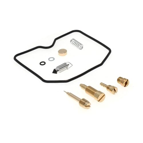 Kit de réparation de carburateur premium pour 800 T100 et T 100 de 2001 à 2008