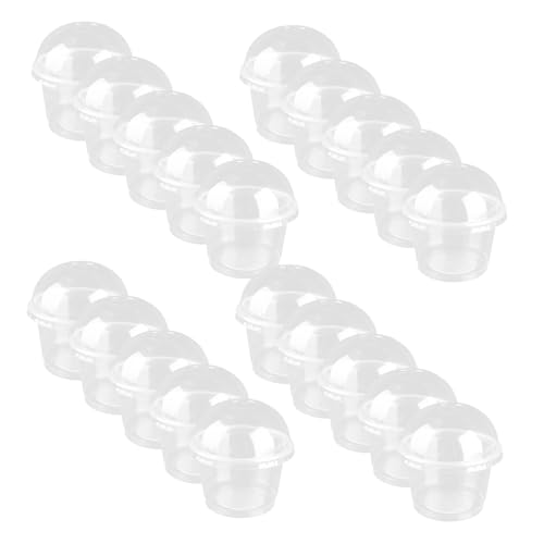 BIUDECO 20 ĝēfU[gJbv WtϋvT_ XC[ce z[p[eB[  o[Xf[p