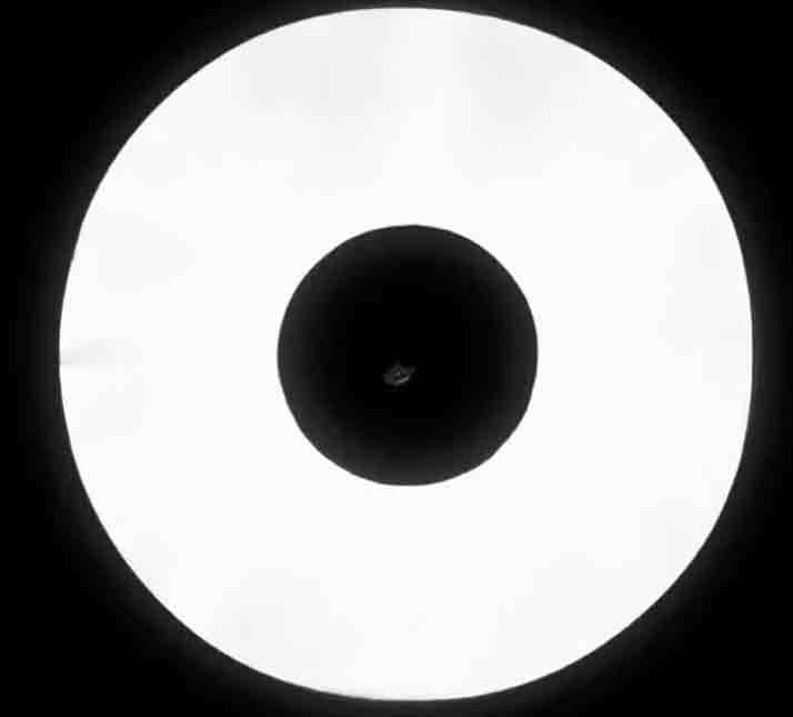 44CM DIFFUSORE FLASH SOFTBOX RIFLETTORE CIRCOLARE ritratto diffuser macro per GODOX TT600 TT520II TT560II YONGNUO YN468 YN560 YN460 YN465 YN467 YN560III YN560II YN568EX III NISSIN GM60 GM80 PRO