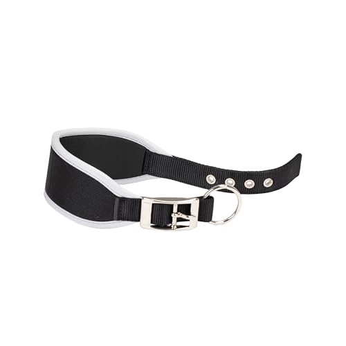 Ferplast Hundehalsband ERGOCOMFORT, Windhundhalsband, weiche Polsterung, Rot
