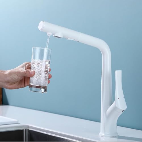 Robinet eau potable double sortie à poignée unique et douchette blanche