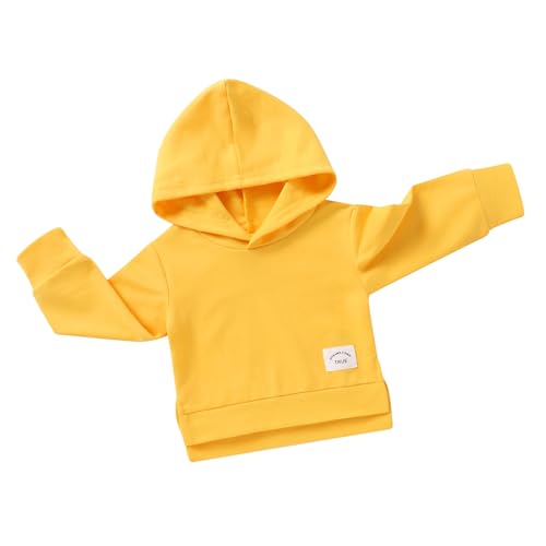 Happy Town Toddler Baby Boy Girl Sweatshirt Hoodie Pullover Fall Outfits Solid Crewneck Long Sleeve Blouse Top Shirt Clothes