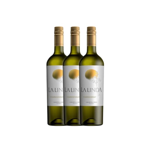 Kit Vinhos Argentino - La Linda