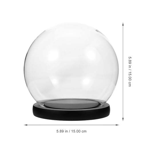 Urna de cristal para decoración de escritorios y suculentas 3