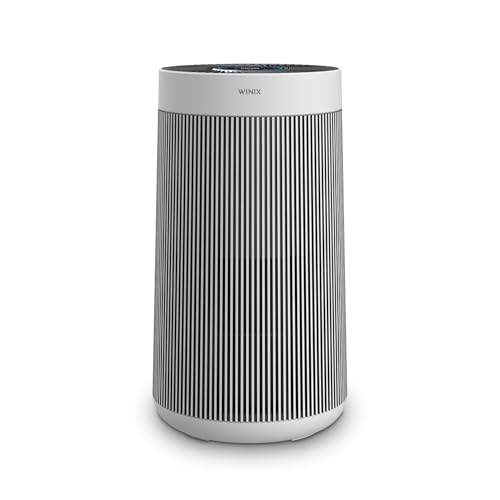 WINIX T810