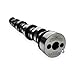 Texas Speed TSP Chopacabra NSR No Springs Required Truck Camshaft LS 4.8 5.3 6.0 6.2 Vortec 1999-2013 (Cam Only)