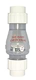 Campbell Mfg Llc 2' Quietsewage Chk Valve B-0823-20C Well Supply Accessories