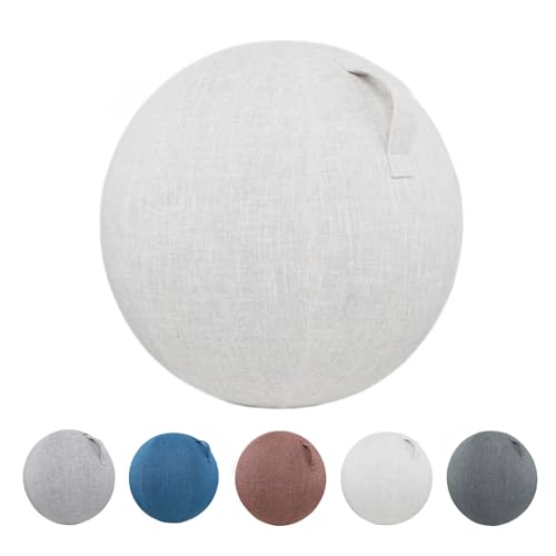 Housse de exercice pour ballon gym 65cm et assise ergonomique Swiss Ball