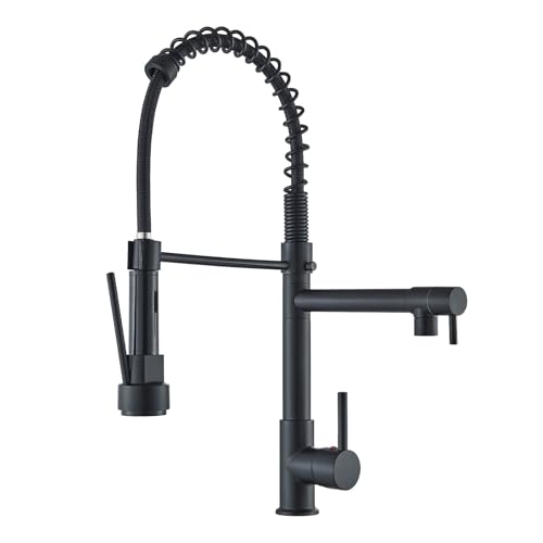 JUNSHENG Mélangeur de cuisine haute pression, extractible avec 2 sorties (jet et épruce), Mélangeur de cuisine (Noir)