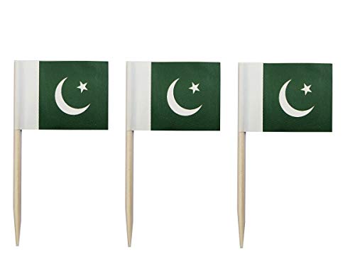JAVD CYPS 100 Pcs Pakistan Flag Pakistani Toothpick Flags, Small Mini Stick Cupcake Toppers Pakistani Flags,Country Picks Party Decoration Celebration Cocktail Food Bar Cake Flags