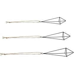 Porta Maceteros Metalicos Yardwe 3 Piezas Soporte De Piña De Aire Soporte De Exhibición De Helecho De Aire Expositor De Tillandsia Estante De Tillandsia Macetero De Pared Colgante Cuerda De Cáñamo Montaje En Pared