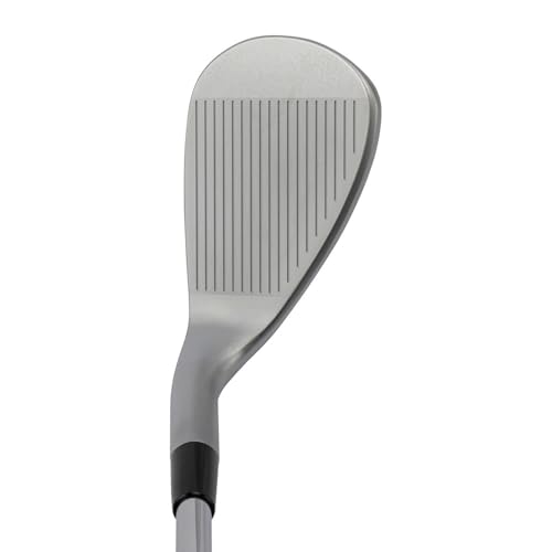 キャスコ(Kasco) ドルフィンウェッジ セミグースネック DW-125G N.S.PRO 950GH neo Wedge 56° 3枚目