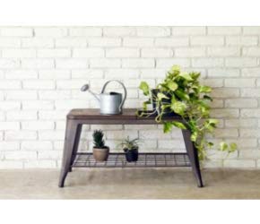 Amazon.co.jp: ガルト(Gart) 収納ベンチ ダークブラウン 幅79cm 1281  