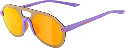 Alpina Beam II Retro Sunglasses