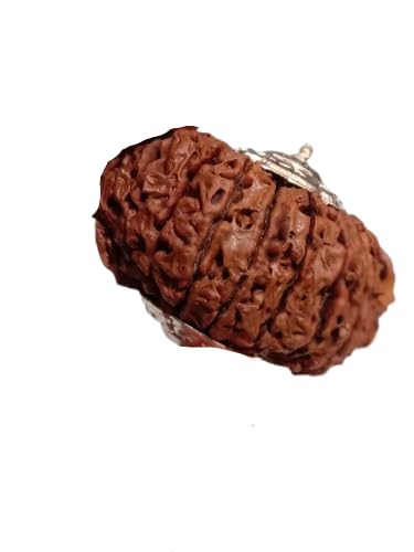 GtcGems 21 ��N�x���j�� �v���~�A���g�D�G���e�B���� ���L ���h���[�N�V�� 21 Mukhi Rudd RAKSHA�I���W�i���F��IGL���{