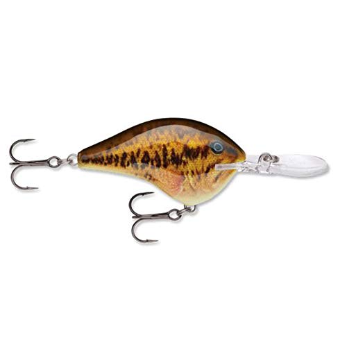 Rapala Divesto 06 Live Smallmouth Bass Lure (DT06SBL)