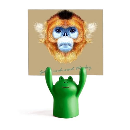 Porte-mémo singe à nez retroussé au design cartoon coloré unique