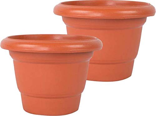 See full amazon price history chart for Plants Point Plastic Flower Pot - Pack of 5, 8 inch Plants Point Plastic Flower Pot - Pack of 5, 8 inch (B082KYSHMT) Amazon Price History, Amazon Price Tracker