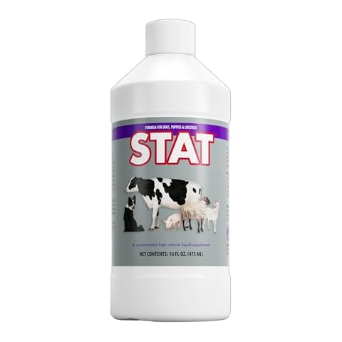 PRN Pharmacal STAT - High Calorie Nutritional Supplement to Help Restore Hydration & Nutrition Levels in Animals - Vanilla Flavored Dietary Support with Vitamin A, D3, C, E, & More - 16 Fl Oz Cover