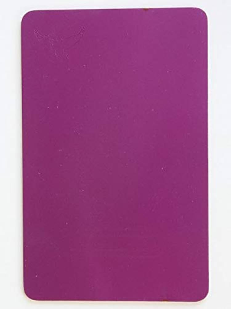 Amazon.com: Original Tesla Purple Plate : Home & Kitchen