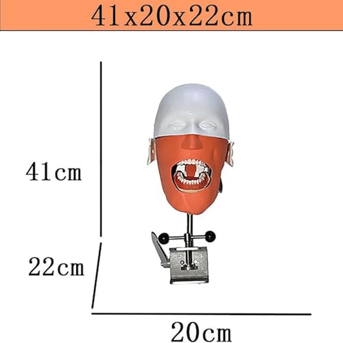 Simulatore di testa di manichino dentale, modello fantasma dentale con regolazione a 360 gradi, sicuro e inodore per la formazione di dentisti e assistenti
