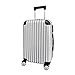 Panana Lightweight ABS Hardshell Cabin Suitcase, 4-Wheel Spinner Carry-On Luggage Trolley (Silver, 20 Inch)